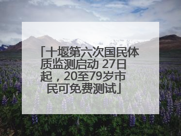 十堰第六次国民体质监测启动 27日起，20至79岁市民可免费测试