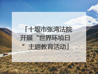 十堰市张湾法院开展“世界环境日”主题教育活动