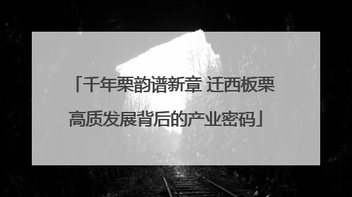 千年栗韵谱新章 迁西板栗高质发展背后的产业密码