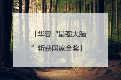 华容“最强大脑”斩获国家金奖