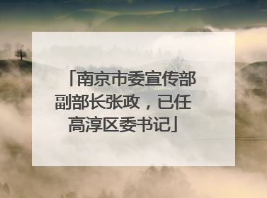南京市委宣传部副部长张政，已任高淳区委书记