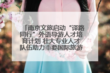 南京文旅启动“译路同行”外语导游人才培育计划 壮大专业人才队伍助力重要国际旅游目的地建设