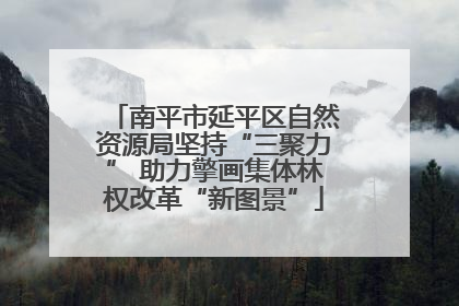 南平市延平区自然资源局坚持“三聚力” 助力擎画集体林权改革“新图景”