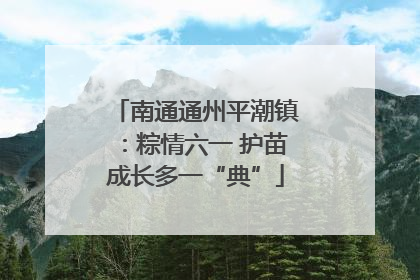 南通通州平潮镇：粽情六一 护苗成长多一“典”