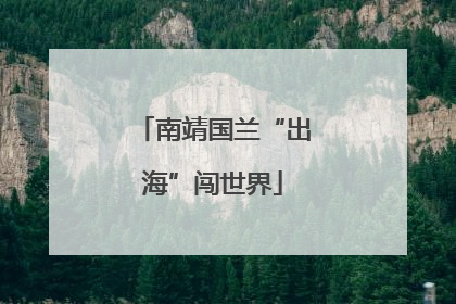 南靖国兰“出海”闯世界