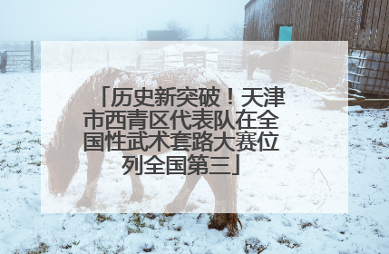历史新突破！天津市西青区代表队在全国性武术套路大赛位列全国第三