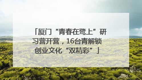 厦门“青春在鹭上”研习营开营，16台青解锁创业文化“双精彩”