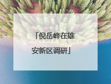 倪岳峰在雄安新区调研