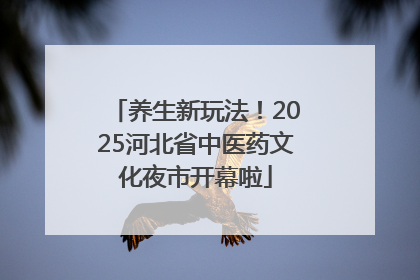 养生新玩法！2025河北省中医药文化夜市开幕啦