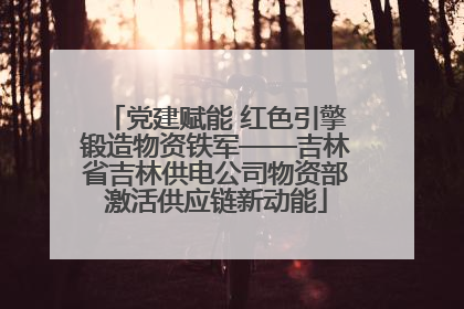 党建赋能 红色引擎锻造物资铁军——吉林省吉林供电公司物资部激活供应链新动能