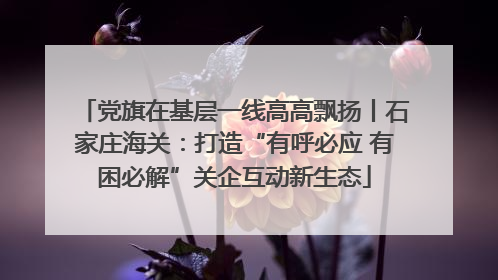 党旗在基层一线高高飘扬丨石家庄海关：打造“有呼必应 有困必解”关企互动新生态