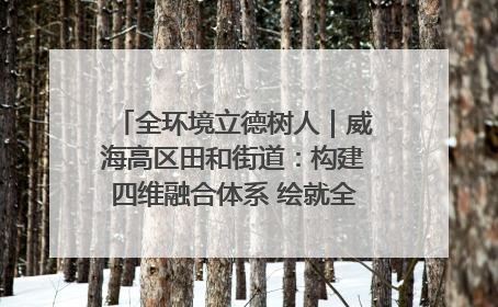 全环境立德树人｜威海高区田和街道：构建四维融合体系 绘就全环境立德树人新画卷