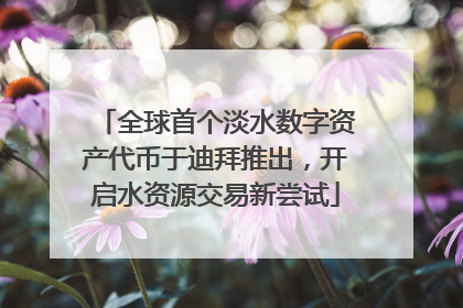 全球首个淡水数字资产代币于迪拜推出，开启水资源交易新尝试