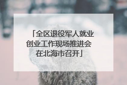 全区退役军人就业创业工作现场推进会在北海市召开