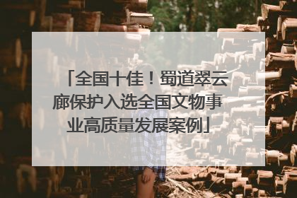 全国十佳！蜀道翠云廊保护入选全国文物事业高质量发展案例
