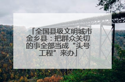 全国县级文明城市金乡县：把群众关切的事全部当成“头号工程”来办