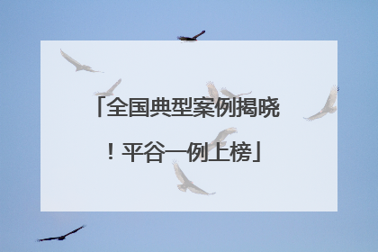 全国典型案例揭晓！平谷一例上榜