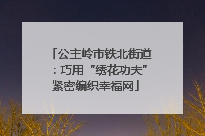 公主岭市铁北街道：巧用“绣花功夫”紧密编织幸福网