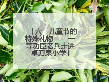 六一儿童节的特殊礼物——一等功臣老兵走进卓刀泉小学