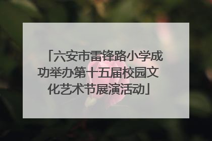 六安市雷锋路小学成功举办第十五届校园文化艺术节展演活动