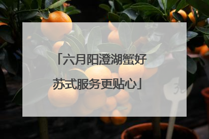 六月阳澄湖蟹好 苏式服务更贴心