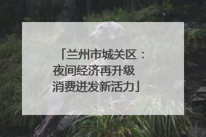 兰州市城关区：夜间经济再升级 消费迸发新活力
