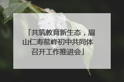共筑教育新生态，眉山仁寿鳌峰初中共同体召开工作推进会