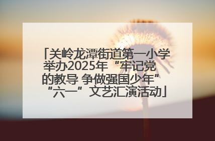 关岭龙潭街道第一小学举办2025年“牢记党的教导 争做强国少年”“六一”文艺汇演活动