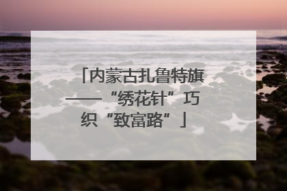 内蒙古扎鲁特旗——“绣花针”巧织“致富路”