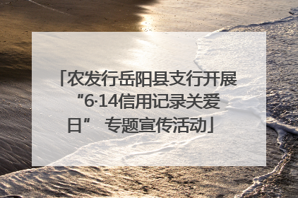 农发行岳阳县支行开展“6·14信用记录关爱日” 专题宣传活动