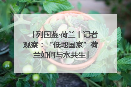列国鉴·荷兰丨记者观察：“低地国家”荷兰如何与水共生
