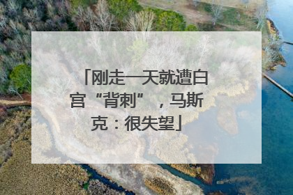 刚走一天就遭白宫“背刺”，马斯克：很失望