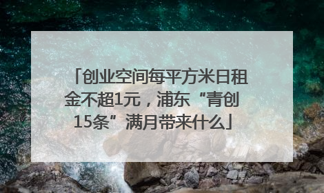 创业空间每平方米日租金不超1元，浦东“青创15条”满月带来什么