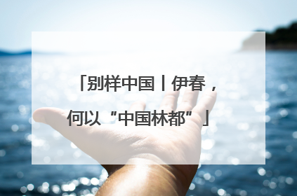 别样中国丨伊春，何以“中国林都”