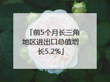 前5个月长三角地区进出口总值增长5.2%