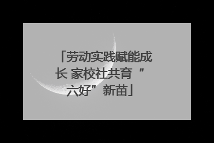 劳动实践赋能成长 家校社共育“六好”新苗
