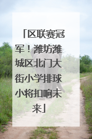 区联赛冠军！潍坊潍城区北门大街小学排球小将扣响未来