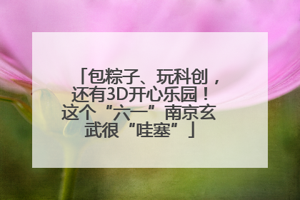 包粽子、玩科创，还有3D开心乐园！这个“六一”南京玄武很“哇塞”