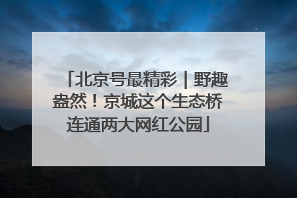 北京号最精彩｜野趣盎然！京城这个生态桥连通两大网红公园