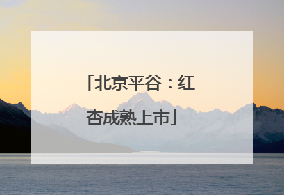 北京平谷：红杏成熟上市