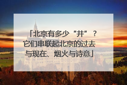 北京有多少“井”？它们串联起北京的过去与现在、烟火与诗意