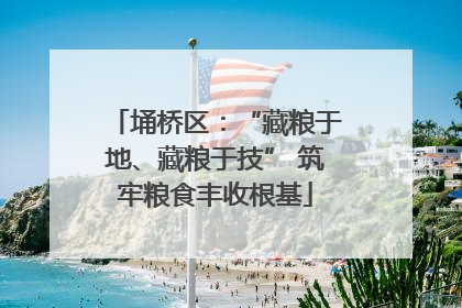 埇桥区：“藏粮于地、藏粮于技” 筑牢粮食丰收根基