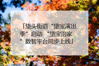 垡头街道“垡宝演出季”启动 “垡宝治家”数智平台同步上线