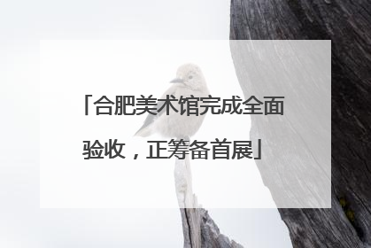 合肥美术馆完成全面验收，正筹备首展