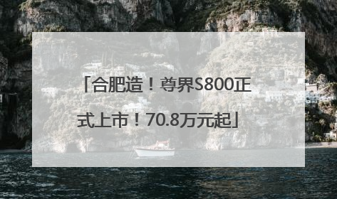 合肥造！尊界S800正式上市！70.8万元起