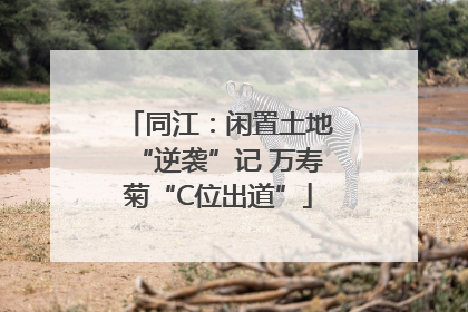 同江：闲置土地“逆袭”记 万寿菊“C位出道”