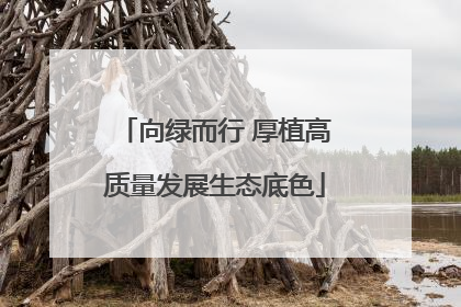 向绿而行 厚植高质量发展生态底色