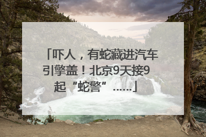 吓人，有蛇藏进汽车引擎盖！北京9天接9起“蛇警”……