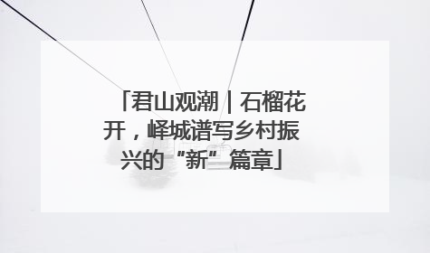 君山观潮｜石榴花开，峄城谱写乡村振兴的“新”篇章