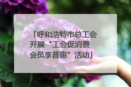 呼和浩特市总工会开展“工会促消费 会员享普惠”活动